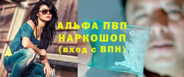 индика Лихославль