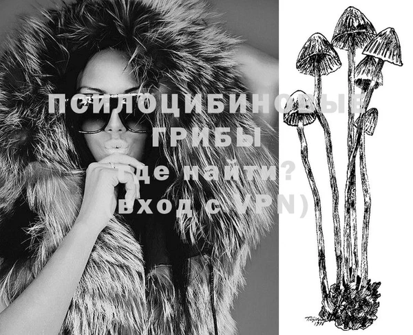шишки Липки