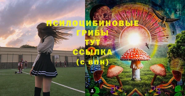 крисы Лиски