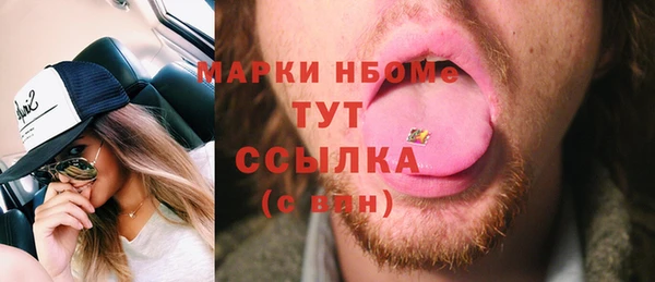 индика Лихославль