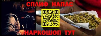 стафф Донской