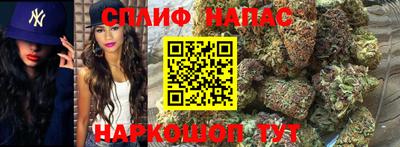 стафф Донской